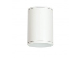 Φωτιστικό οροφής κύλινδρος Ε27 PAR30 Φ12x17cm IP65 λευκό 