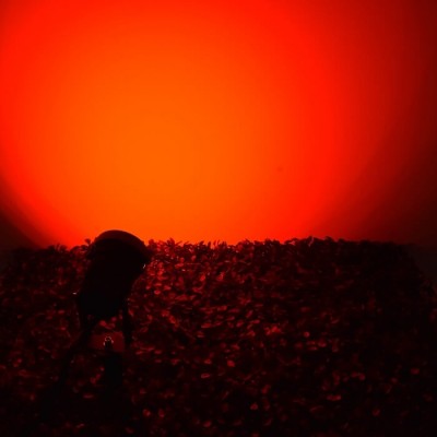Σποτ κήπου 12V IP67 LED Kόκκινο Φως πλαστικό μαύρο 13cm ή καρφωτό 28cm